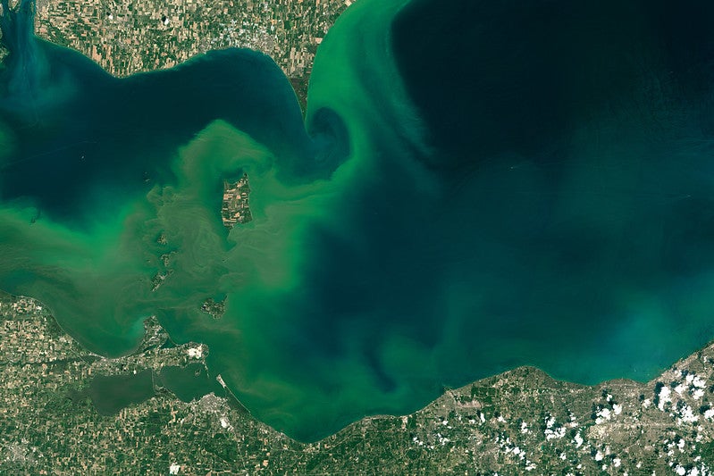 Algal bloom in Lake Erie