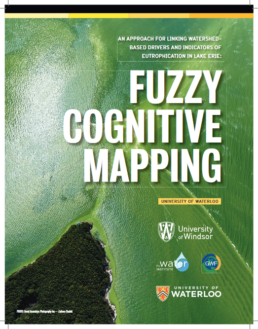 Fuzzy Cognative Mapping