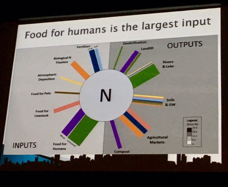 Photo of Figure indicating food for humans is the largest input of Nitrogen.