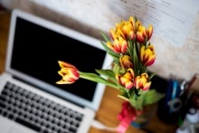 Laptop and tulips