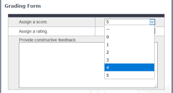 Example Grading Form with a numeric score field