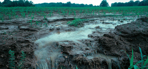 runoff soil from fertilizer banner