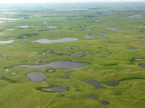 prairie wetlands 