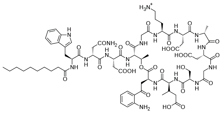 Structure of Daptomycin