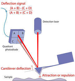 Schematic of Atomic Force Microscopy (JPK)