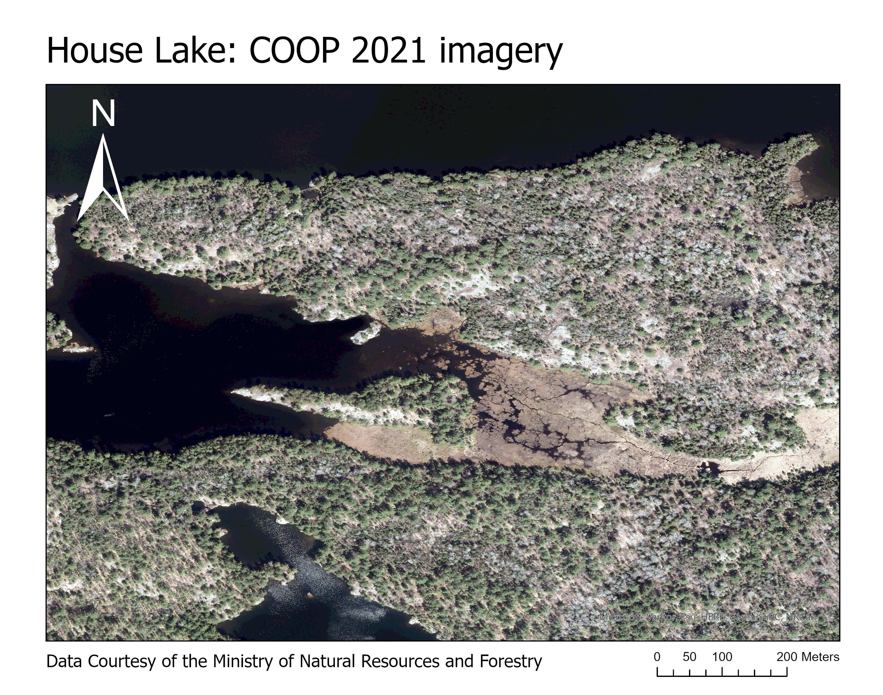 sample view of coop 2021