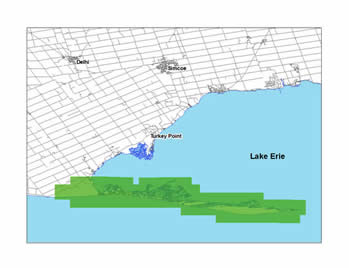 image shows coverage of infrared imagery along the long point peninsula