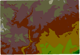image shows a digital elevation model (DEM) triangulated irregular network (TIN) created using ArcView