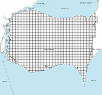 map shows extent of 2008 orthoindex within Essex County