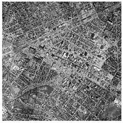 Kitchener orthomosaic 1 (thumbnail)