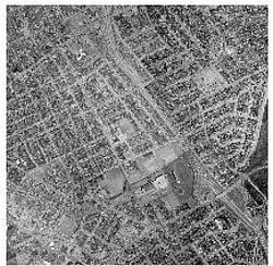 Kitchener orthomosaic 2 (thumbnail)