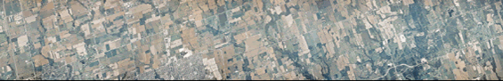 thumbnail of mosaic 29 imagery