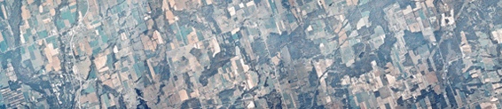 thumbnail of mosaic 36 imagery