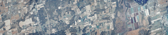 thumbnail of mosaic 41 imagery