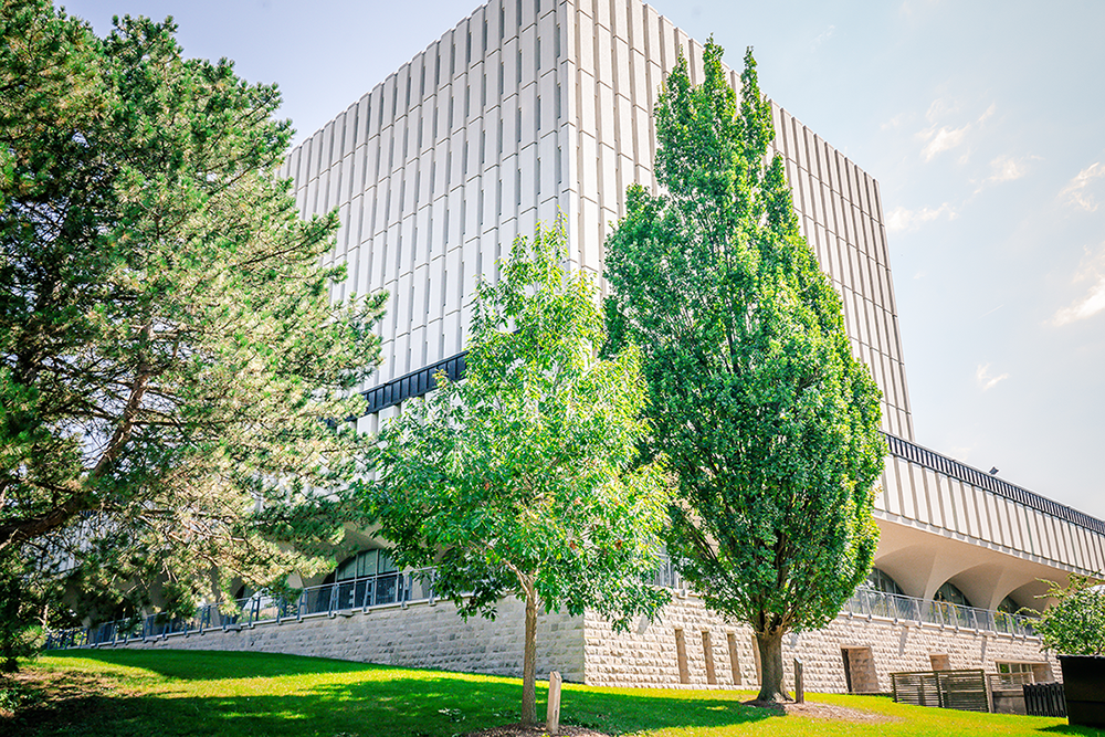 Dana Porter Library exterior in spring, surrounded by green trees and a grassy area