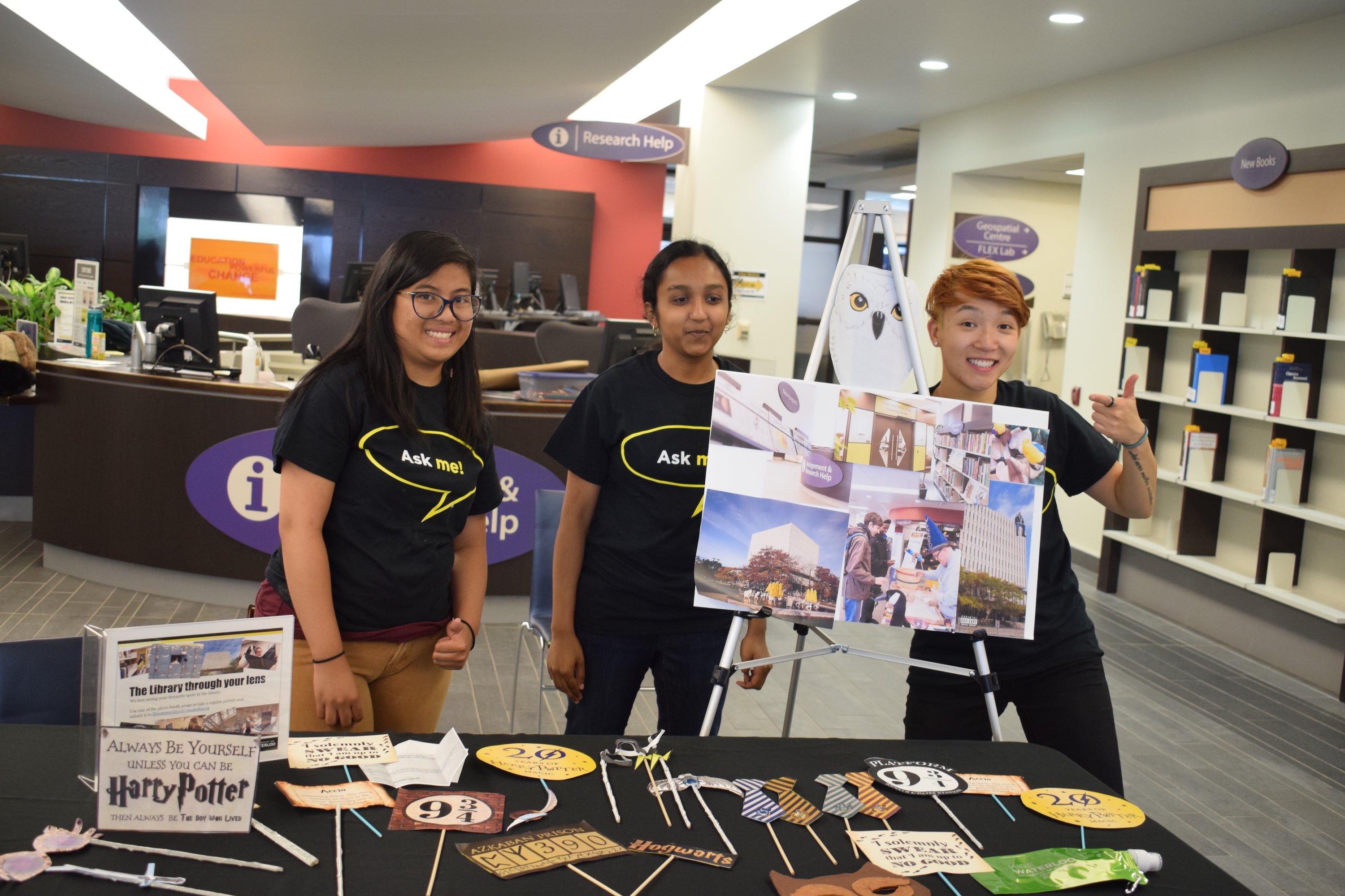 Harry Potter display