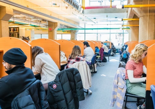 students sitting in study carrels at Davis Centre Library