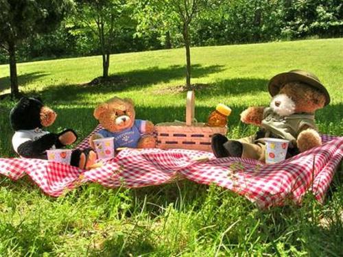 Three teddy bears eating a picnic on a red checkered blanket in the grass. 