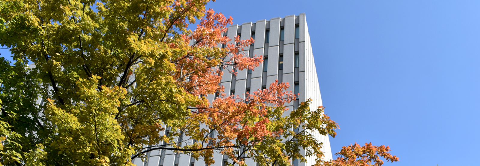 Dana Porter Library