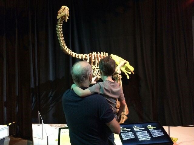 Alex and his grandson looking at a dinosaur fossil