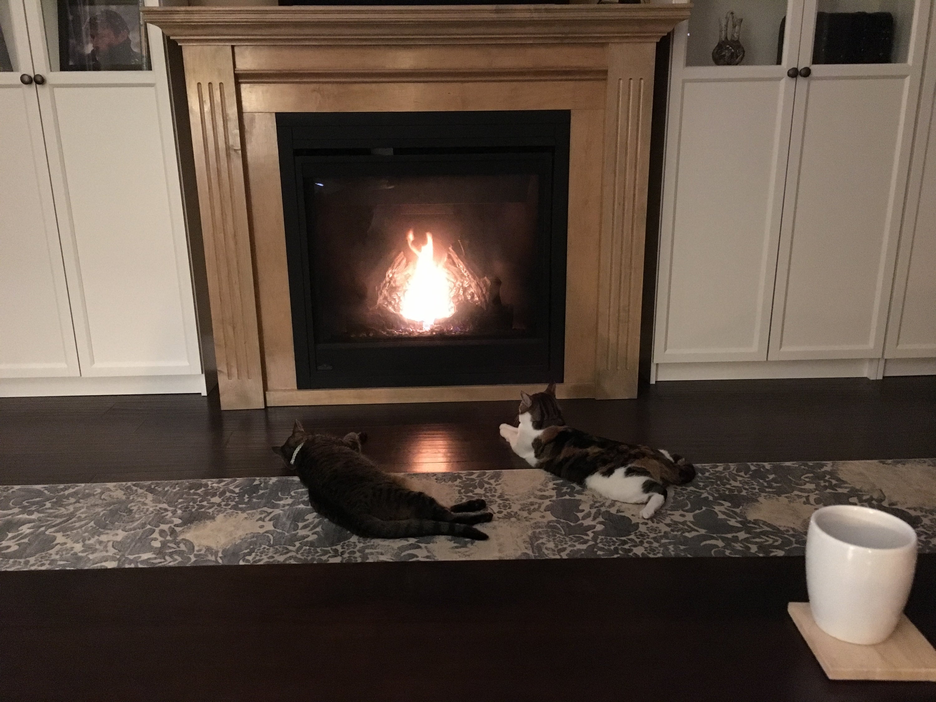 Two cats are resting in front of a fireplace