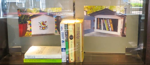 A display of books sits in front of two photographs of Little Free Libraries.