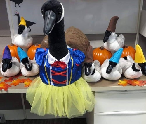 A large stuffed goose, dressed as Snow White, is flanked by seven smaller stuffed geese dressed as the seven dwarves.