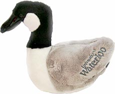 University of Waterloo branded stuffed goose.