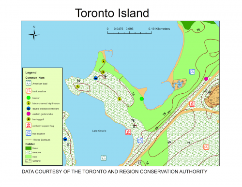 map shows fauna and flora along with their habitats on Toronto island