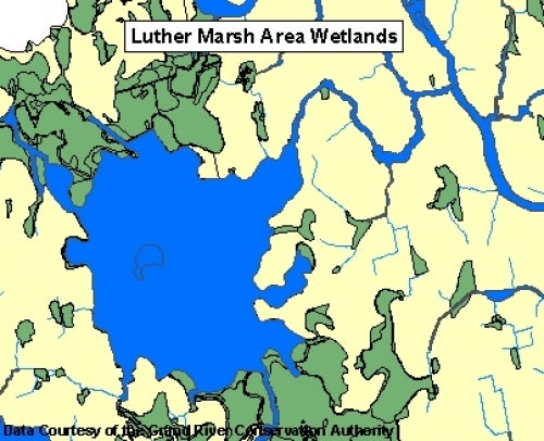 Luther Marsh area wetlands