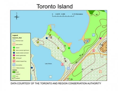 Map from the Toronto and Region Conservation Authority shows flora and fauna features on Toronto island