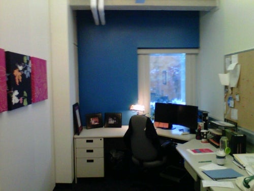 Laura Bredahl's office in the Davis Centre Library with the freshly painted blue wall