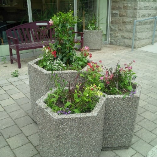 Bench and planters on the Porter Patio