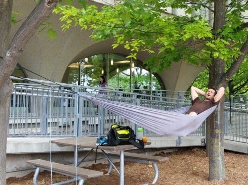 Man laying in hammock.