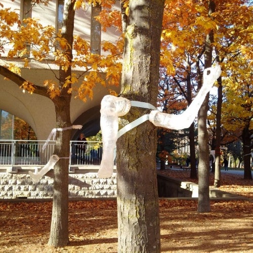 art installation on a tree