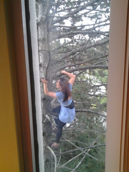 woman climbing tree