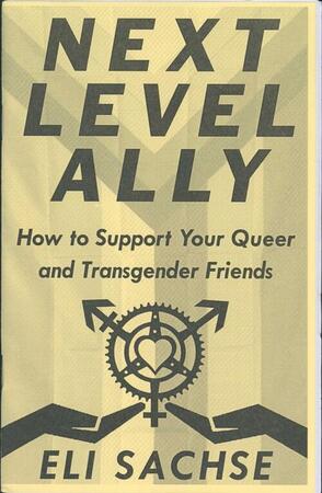 Next Level Ally book cover