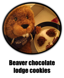 Link to Archie the beaver's no-bake chocolate beaver lodges