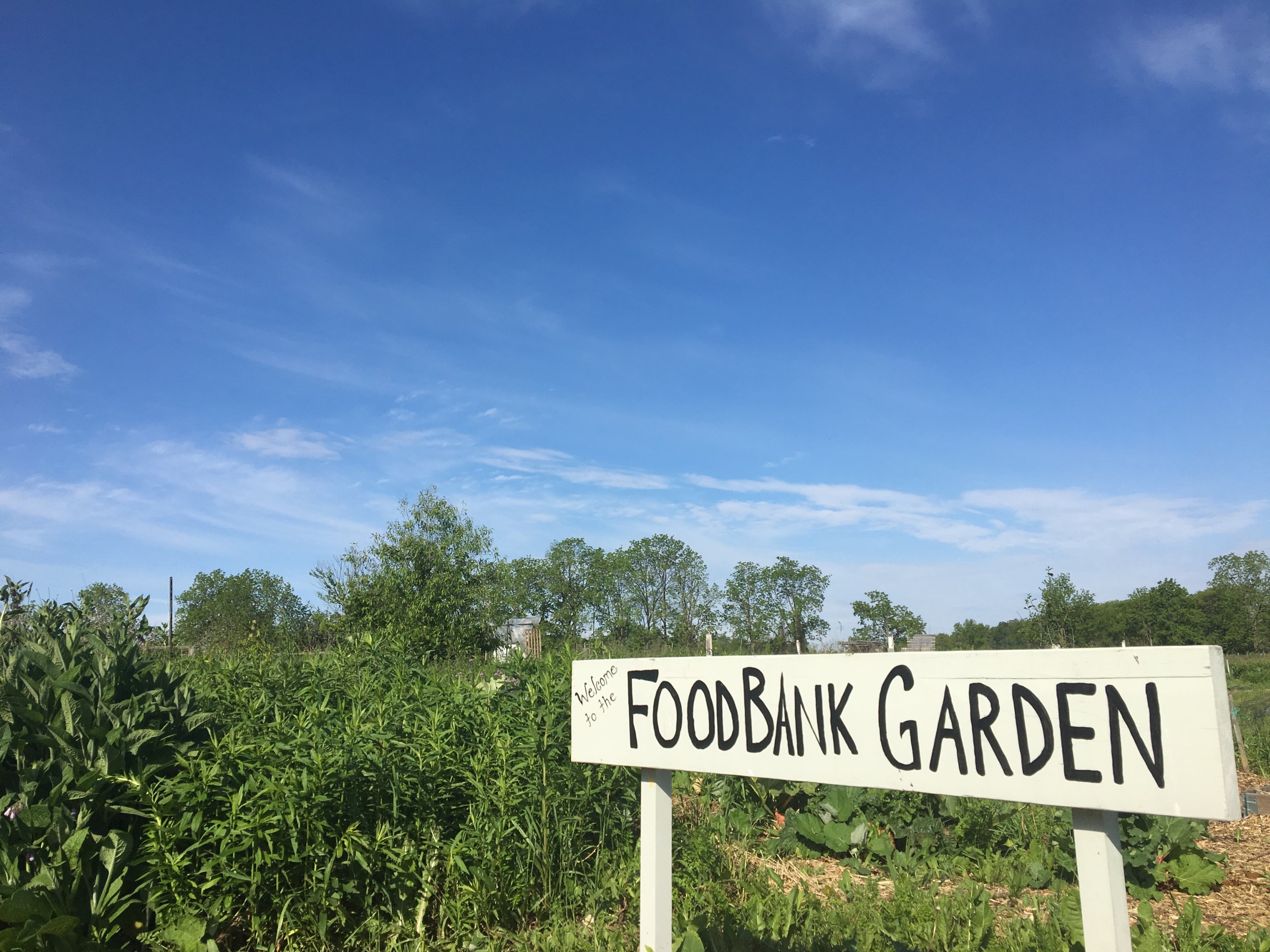 Foodbank garden sign