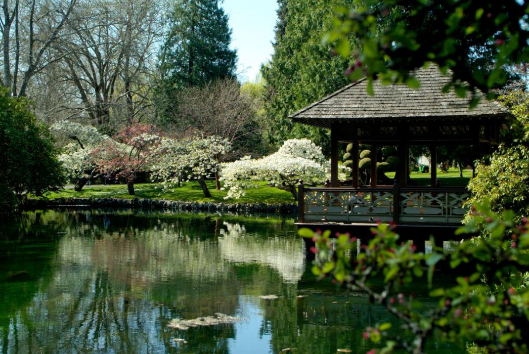 Japanese garden in Hatley Park, Canada