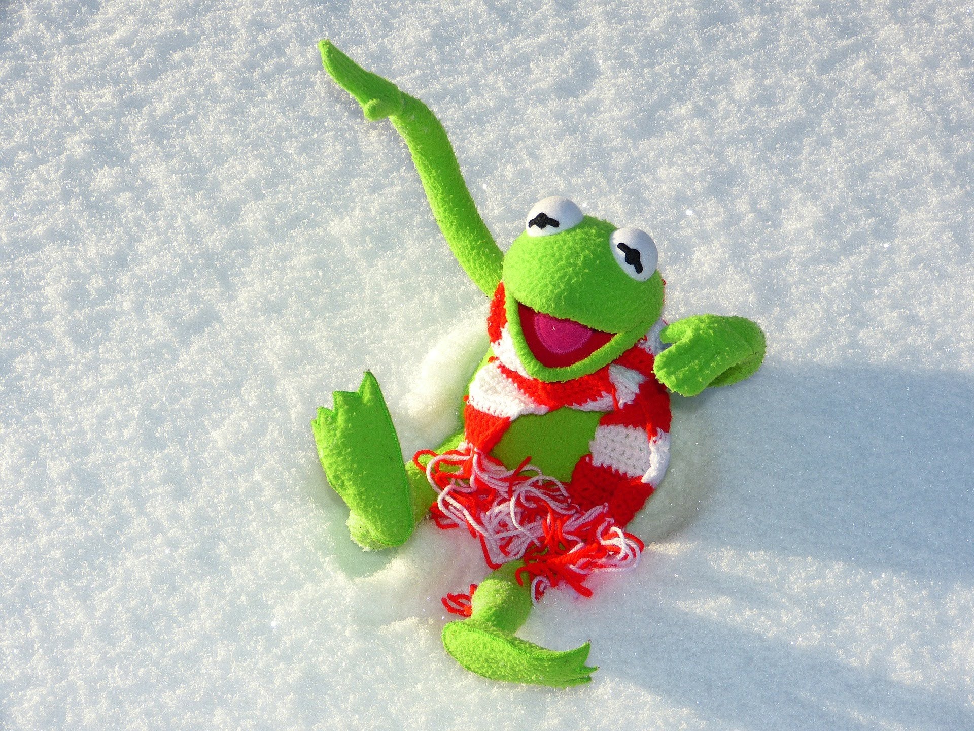 Kermit in the snow
