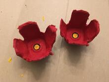 finished poppy flowers