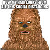 Chewbacca painting meme