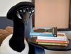 Beatnik goose with book spine poem