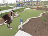 goose playing mini golf