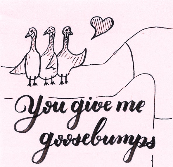 drawing of three geese sitting on a human's arm