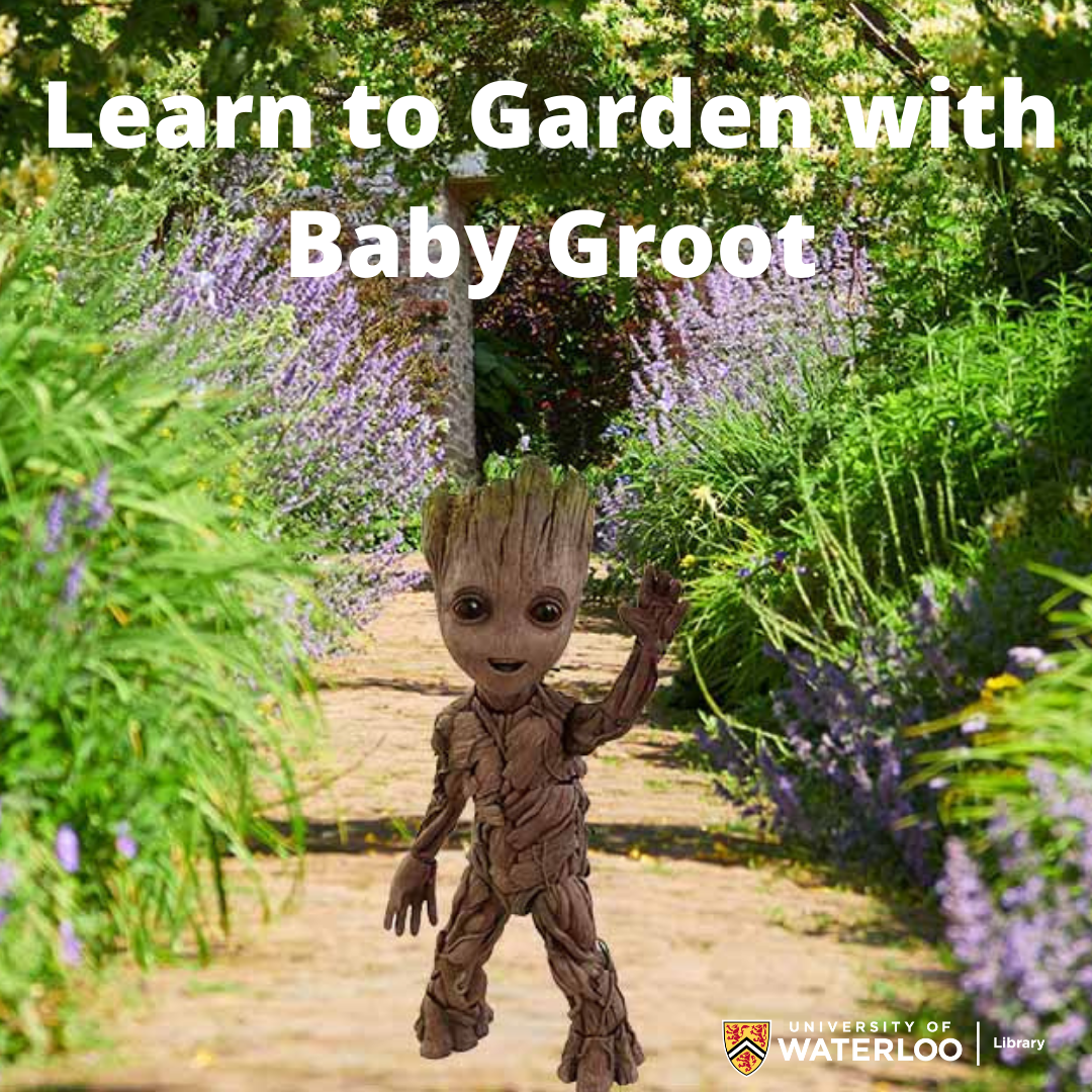 groot running down a gravel path