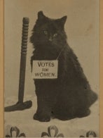 Votes for Women cat.