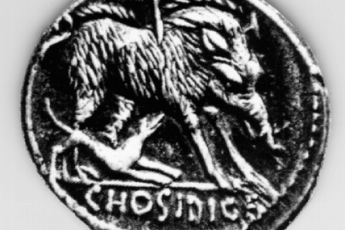 Coin with image of wild boar.