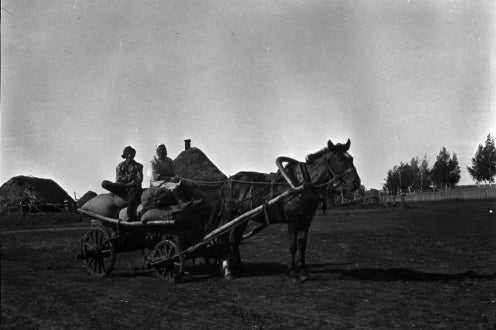 horse-drawn wagon